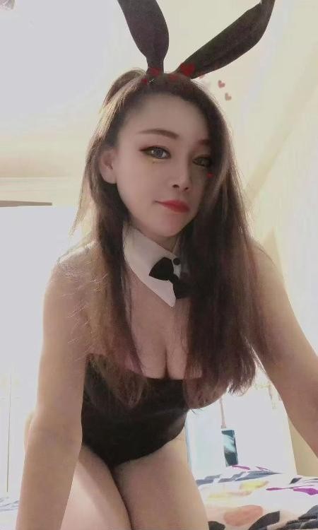 宝安大波小肥猫