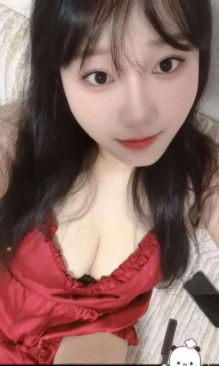 北一环雪儿回来了