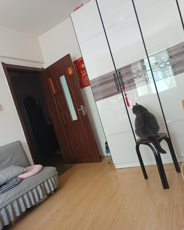 哈尔滨哈西老妹