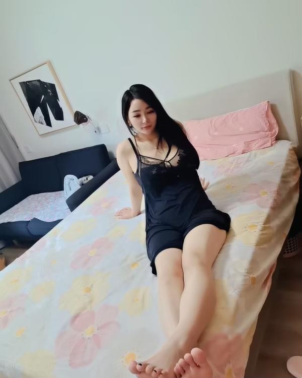 会服务的大个丽桐