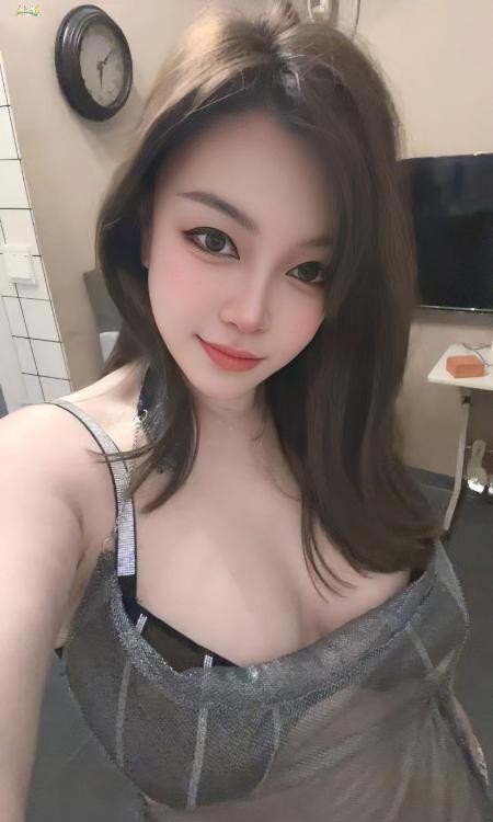 宝安大白奶小肥猫