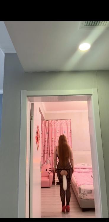 后花园爱好者的福音