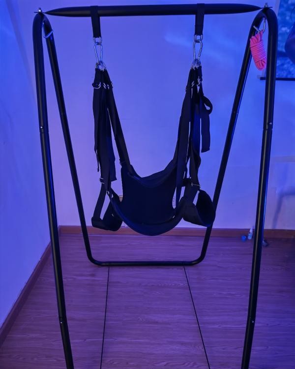 水床翘臀小刺猬