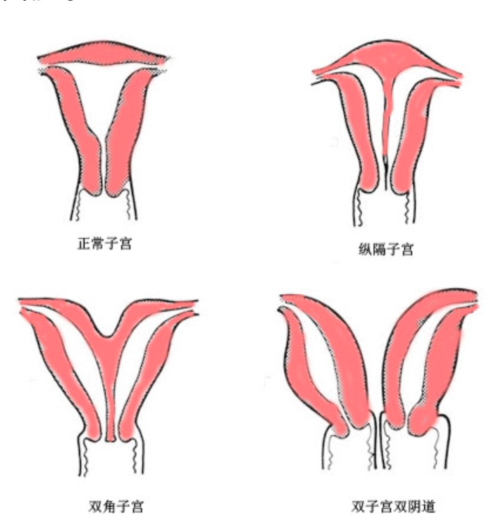 嘉定双阴道舒玉姐