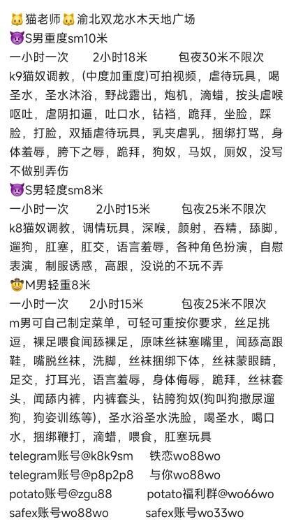 全能猫老师