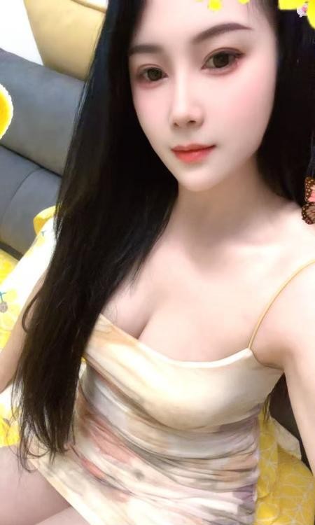 金牌老师  柒月
