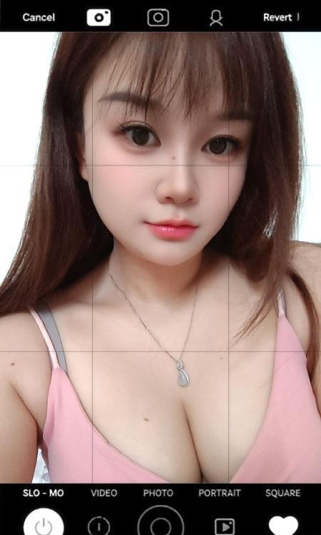 西乡念念