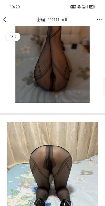 风骚大屁股少妇