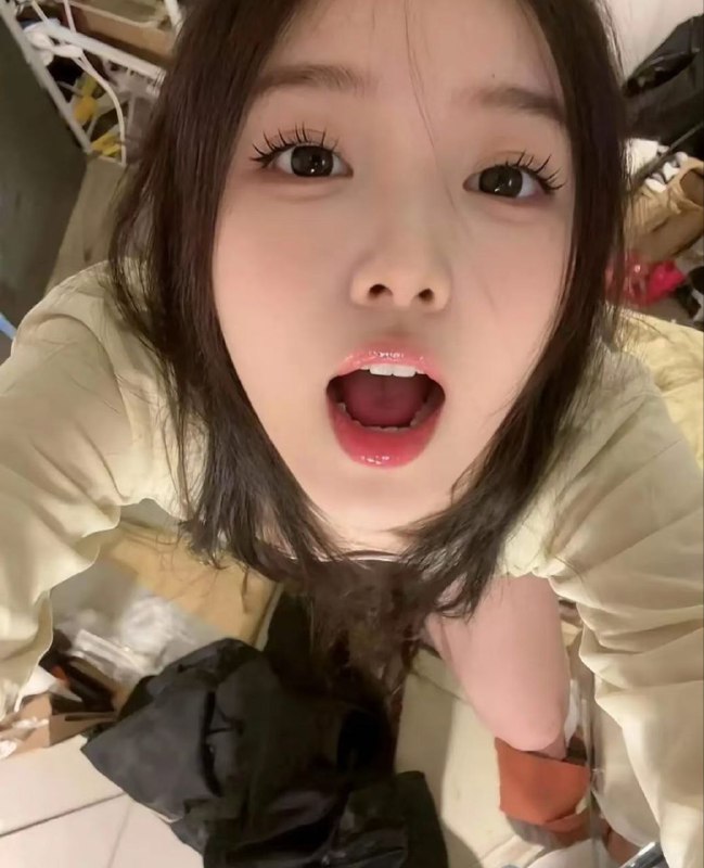 新茶