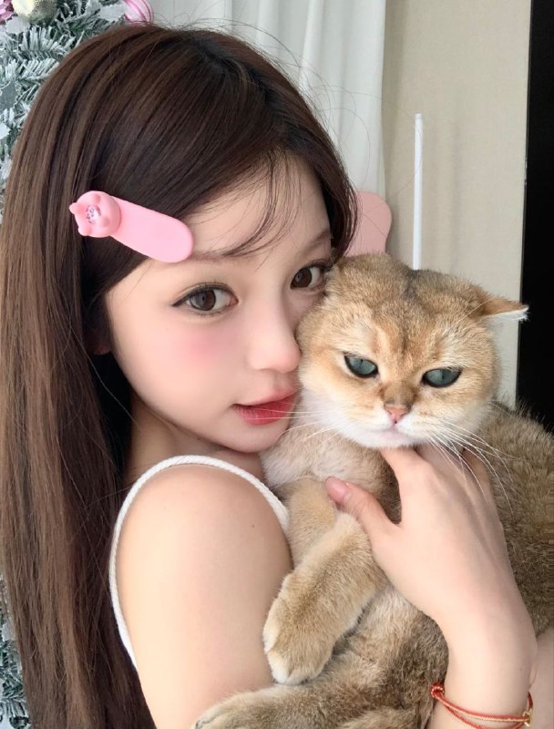 有房