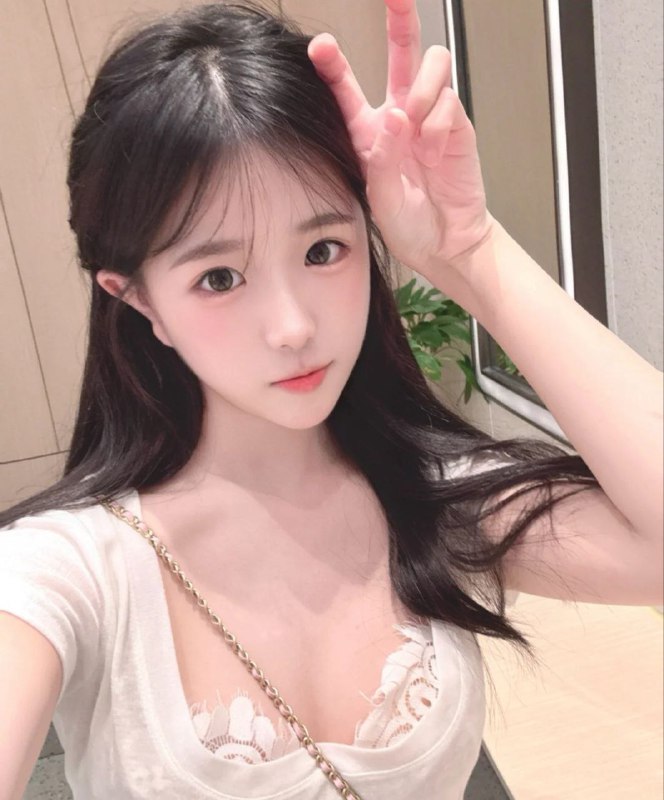 新茶