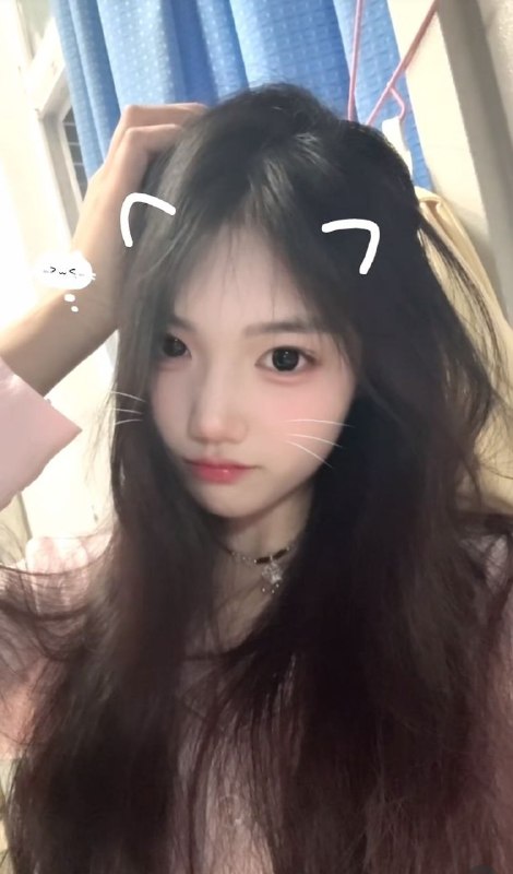 品茶