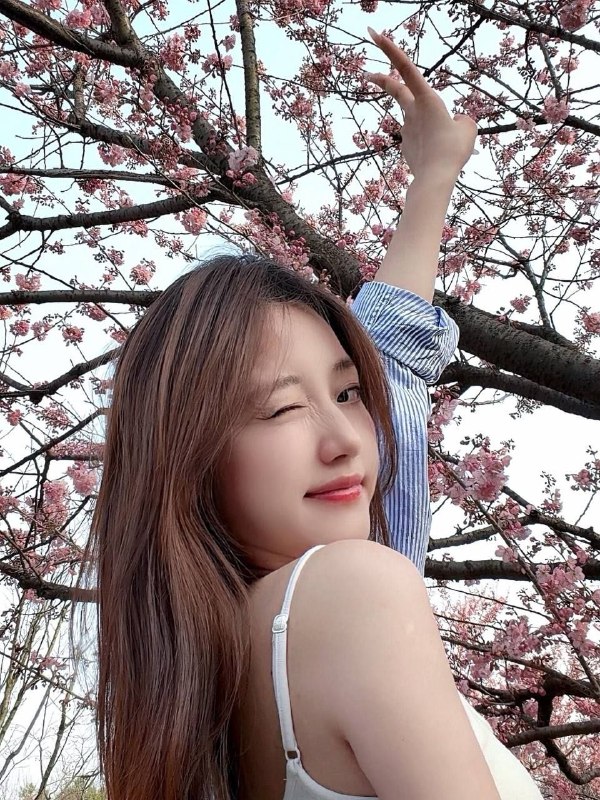 有房
