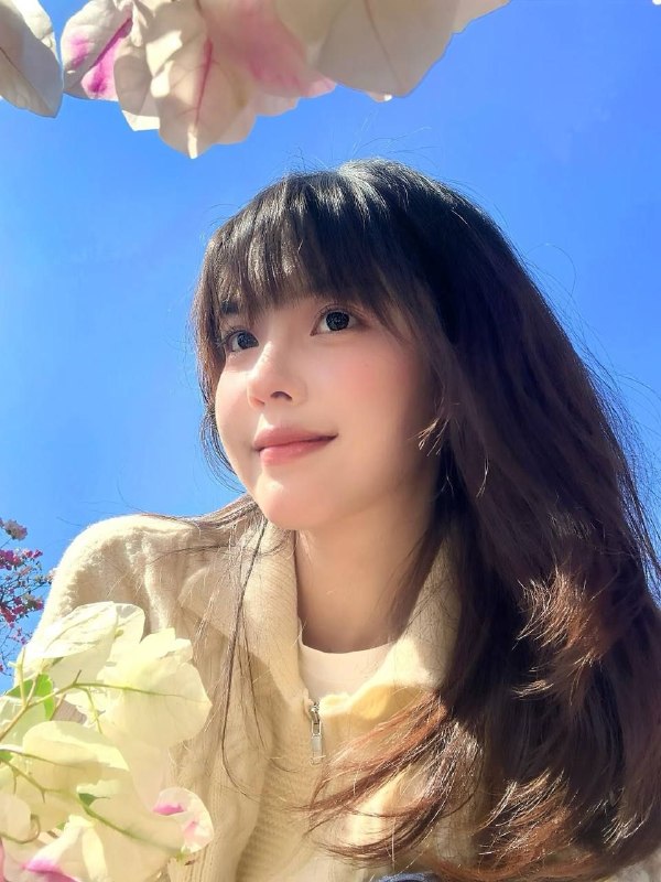 全套