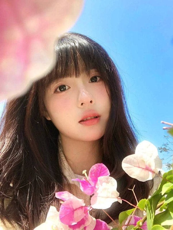 全套