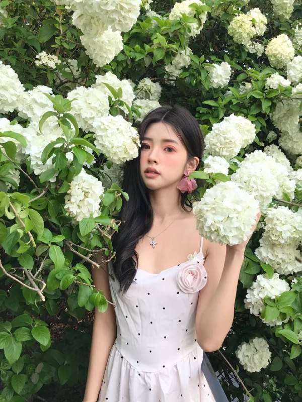 莞式