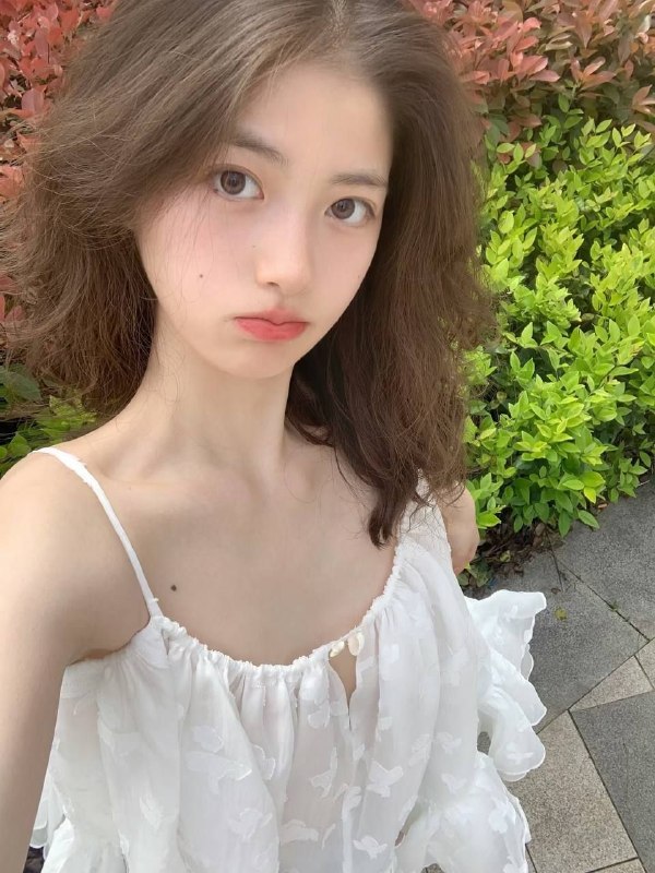新品