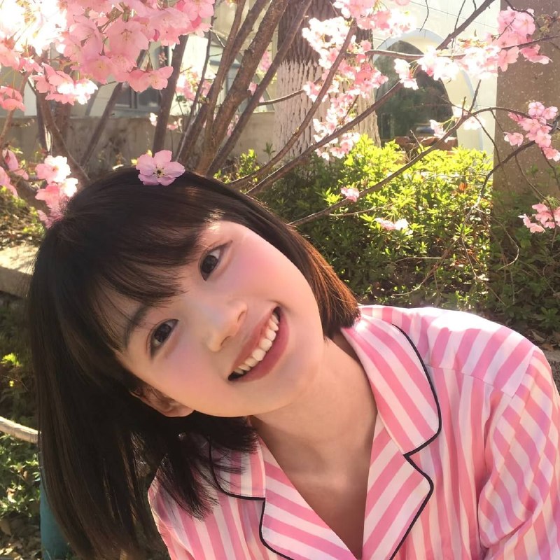 新茶