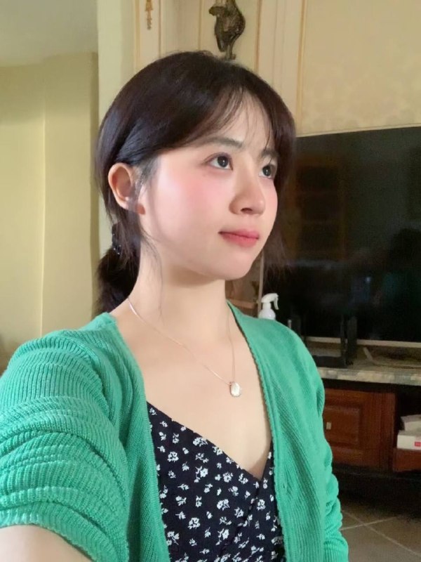 新茶